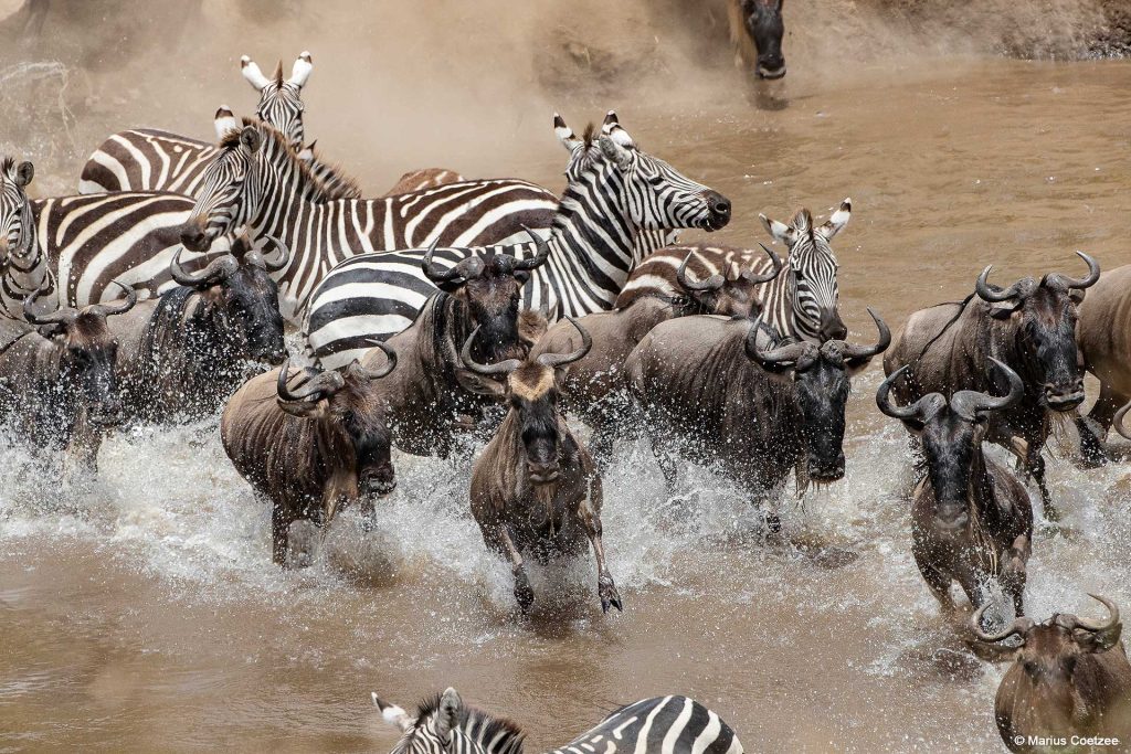 Kenya-Photo-Tours_web